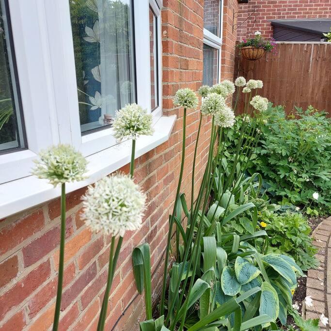 Cheerful, Cosy, One Bedroom Home With Patio And Parking Newbury  Exterior photo