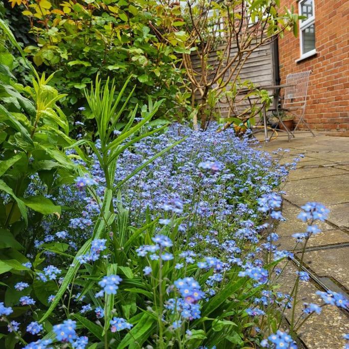 Cheerful, Cosy, One Bedroom Home With Patio And Parking Newbury  Exterior photo